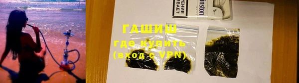 прущие грибы Горняк
