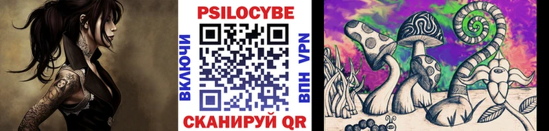 как найти закладки Иваново Псилоцибиновые грибы мицелий